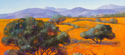 Namaqua National Park | 2020 | Oil on Canvas | 36 x 51 cm